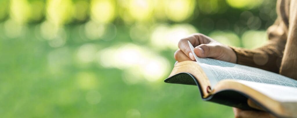A close up shot of a torso of a person holding a Bible. The background is nature and sunlight.